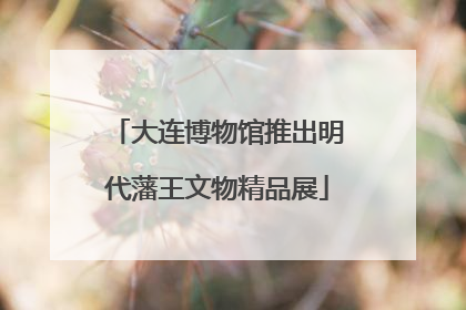 大连博物馆推出明代藩王文物精品展