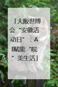 大阪世博会“安徽活动日”：AI赋能“皖”美生活