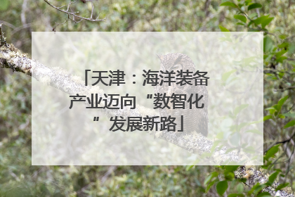 天津：海洋装备产业迈向“数智化”发展新路