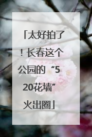 太好拍了！长春这个公园的“520花墙”火出圈