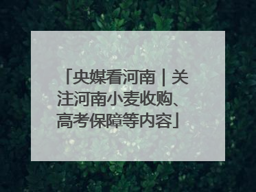 央媒看河南｜关注河南小麦收购、高考保障等内容