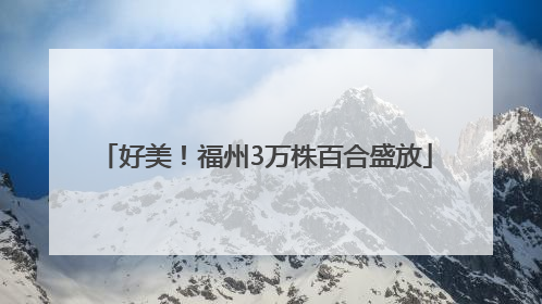 好美！福州3万株百合盛放