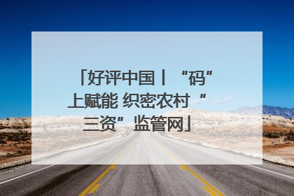 好评中国丨“码”上赋能 织密农村“三资”监管网