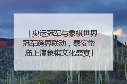奥运冠军与象棋世界冠军跨界联动，泰安岱庙上演象棋文化盛宴