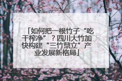 如何把一根竹子“吃干榨净”？四川大竹加快构建“三竹鼎立”产业发展新格局