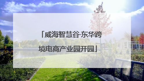 威海智慧谷·东华跨境电商产业园开园