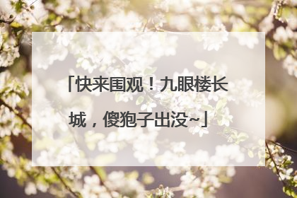 快来围观！九眼楼长城，傻狍子出没~