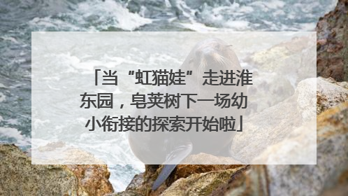 当“虹猫娃”走进淮东园，皂荚树下一场幼小衔接的探索开始啦