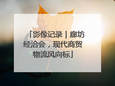 影像记录｜廊坊经洽会，现代商贸物流风向标