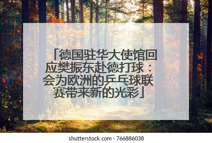 德国驻华大使馆回应樊振东赴德打球：会为欧洲的乒乓球联赛带来新的光彩