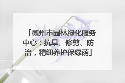 德州市园林绿化服务中心：抗旱、修剪、防治，精细养护保绿荫
