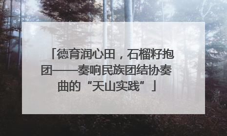 德育润心田，石榴籽抱团——奏响民族团结协奏曲的“天山实践”