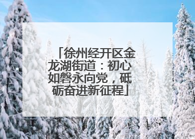 徐州经开区金龙湖街道：初心如磐永向党，砥砺奋进新征程