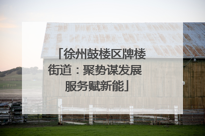 徐州鼓楼区牌楼街道：聚势谋发展 服务赋新能