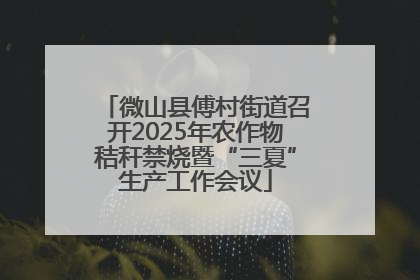 微山县傅村街道召开2025年农作物秸秆禁烧暨“三夏”生产工作会议