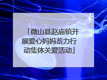 微山县赵庙镇开展爱心妈妈蓄力行动集体关爱活动