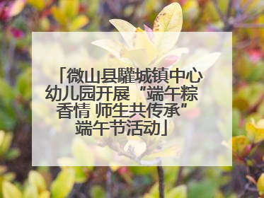 微山县驩城镇中心幼儿园开展“端午粽香情 师生共传承”端午节活动