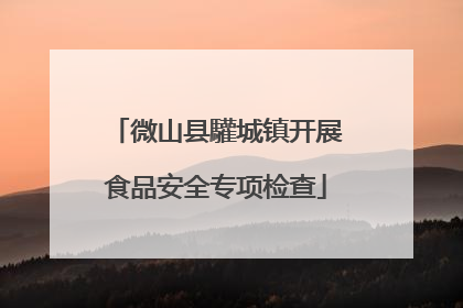 微山县驩城镇开展食品安全专项检查