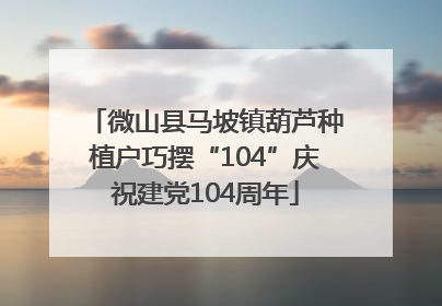 微山县马坡镇葫芦种植户巧摆“104”庆祝建党104周年