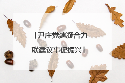 尹庄党建凝合力 联建议事促振兴