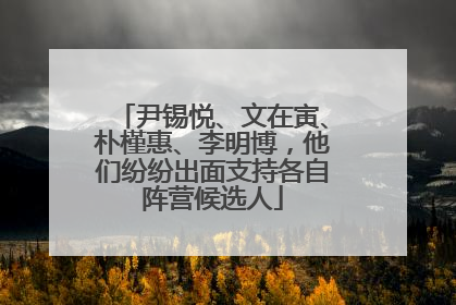 尹锡悦、文在寅、朴槿惠、李明博，他们纷纷出面支持各自阵营候选人