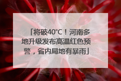 将破40℃！河南多地升级发布高温红色预警，省内局地有暴雨