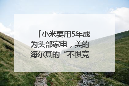 小米要用5年成为头部家电，美的海尔真的“不惧竞争”？｜热财经