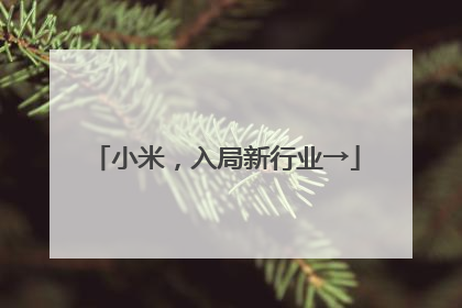 小米，入局新行业→