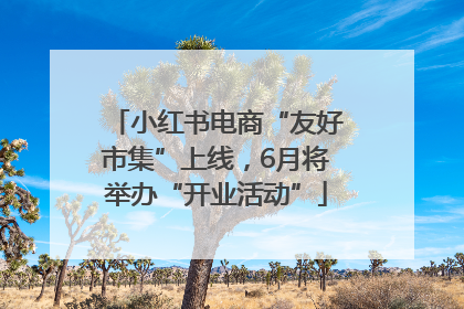 小红书电商“友好市集”上线，6月将举办“开业活动”