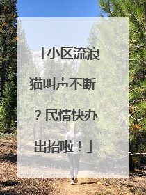 小区流浪猫叫声不断？民情快办出招啦！