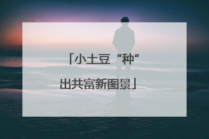 小土豆“种”出共富新图景