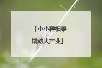 小小碧根果撬动大产业
