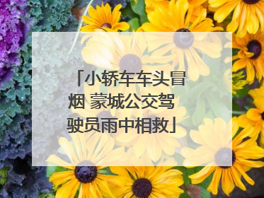 小轿车车头冒烟 蒙城公交驾驶员雨中相救