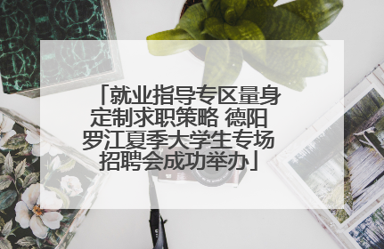 就业指导专区量身定制求职策略 德阳罗江夏季大学生专场招聘会成功举办