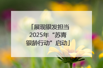 展现银发担当 2025年“苏青银龄行动”启动