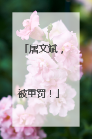 屠文斌，被重罚！