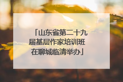 山东省第二十九届基层作家培训班在聊城临清举办