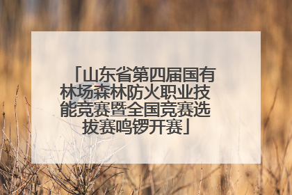 山东省第四届国有林场森林防火职业技能竞赛暨全国竞赛选拔赛鸣锣开赛
