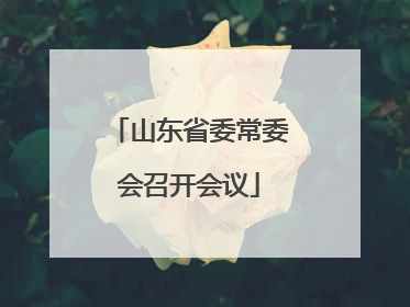 山东省委常委会召开会议