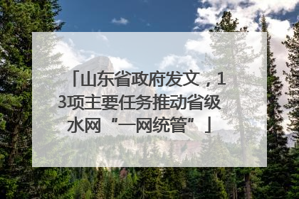 山东省政府发文，13项主要任务推动省级水网“一网统管”