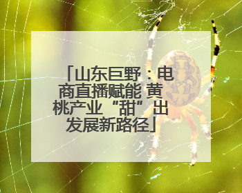 山东巨野：电商直播赋能 黄桃产业“甜”出发展新路径