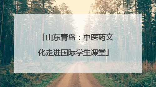 山东青岛：中医药文化走进国际学生课堂