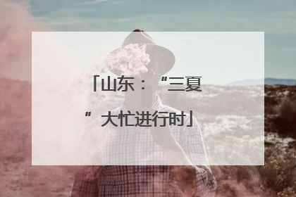 山东：“三夏”大忙进行时