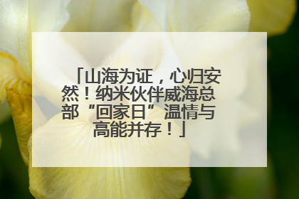山海为证，心归安然！纳米伙伴威海总部“回家日”温情与高能并存！