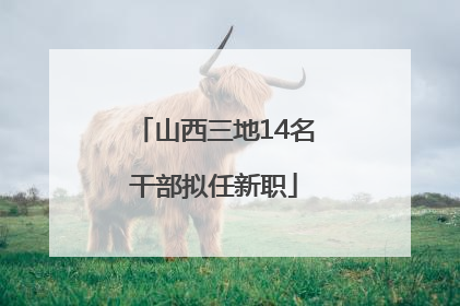 山西三地14名干部拟任新职