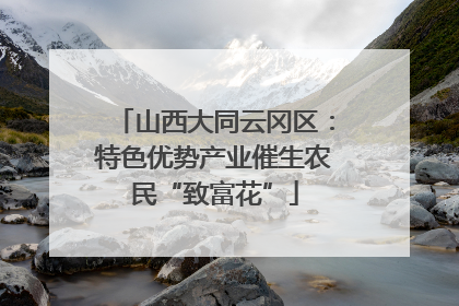 山西大同云冈区：特色优势产业催生农民“致富花”