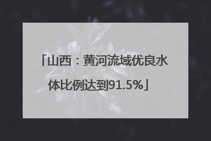 山西：黄河流域优良水体比例达到91.5%