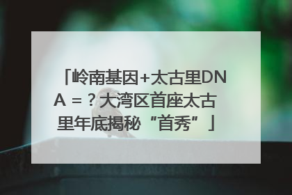 岭南基因+太古里DNA =？大湾区首座太古里年底揭秘“首秀”