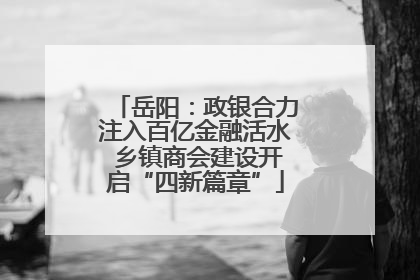 岳阳：政银合力注入百亿金融活水 乡镇商会建设开启“四新篇章”