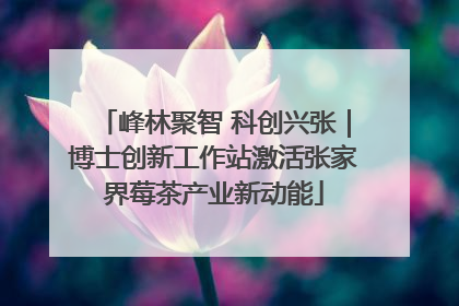 峰林聚智 科创兴张｜博士创新工作站激活张家界莓茶产业新动能